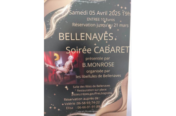  Les Libellules