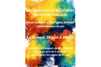  Les Libellules de Bellenaves