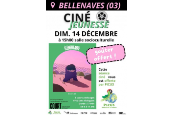  Association Picus recycle et plus